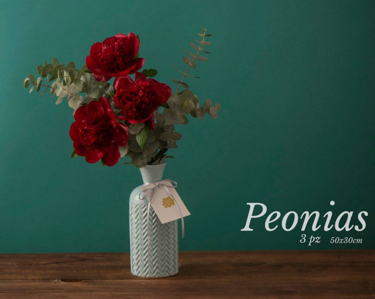 PEONÍAS 3PZ
