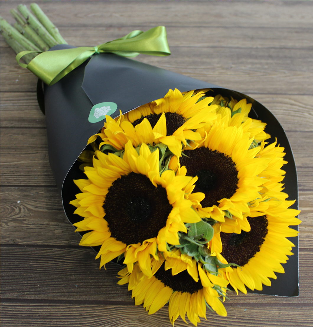 10 girasoles flower cone