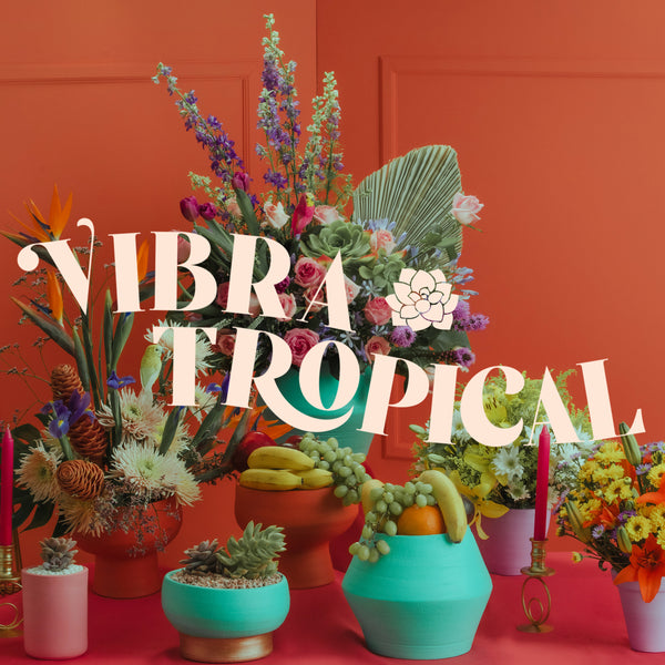 Nueva Colección Vibra Tropical