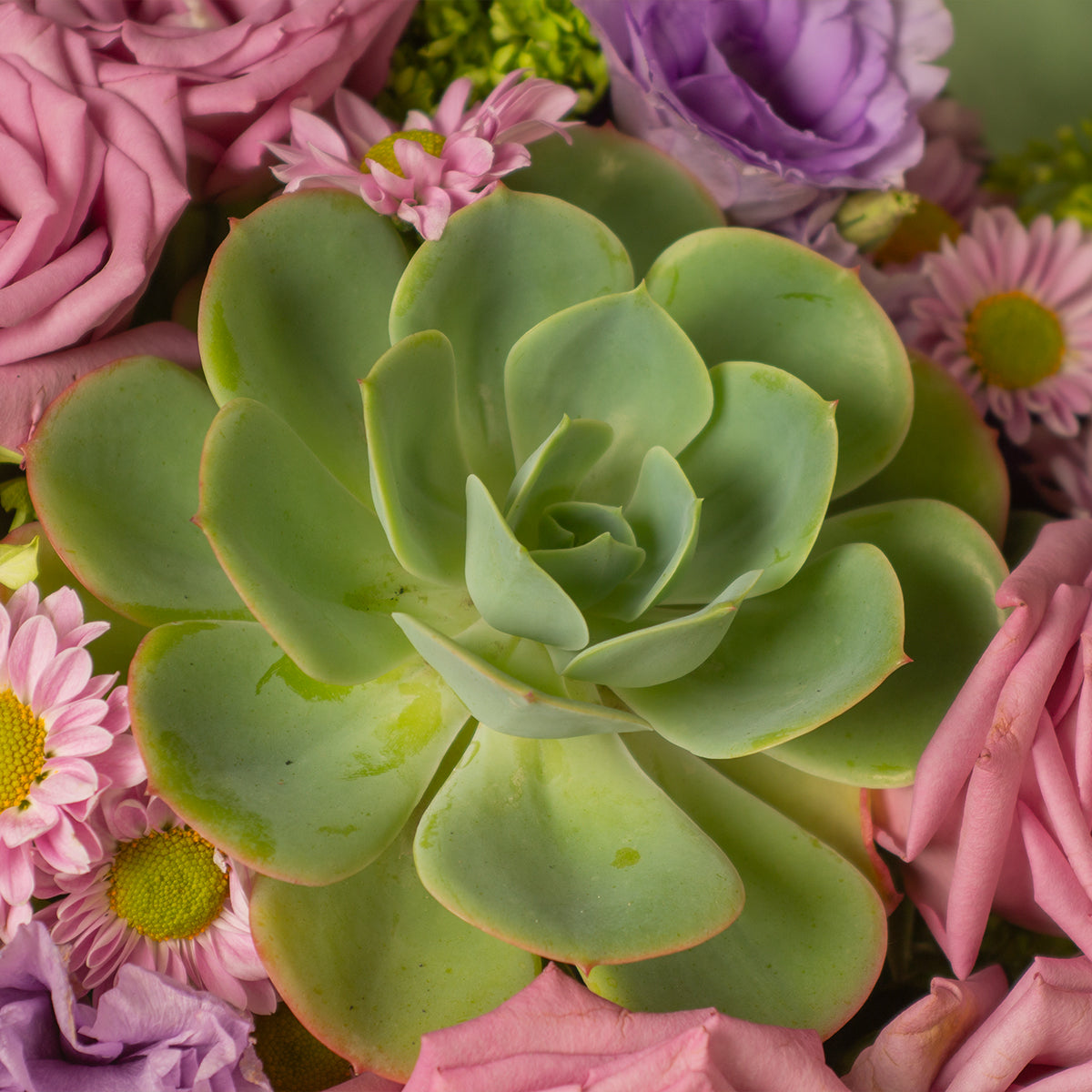 Legado | Flowerbox