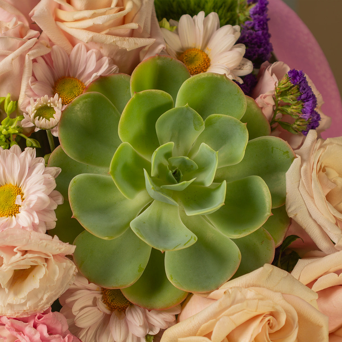 Origen | Flowerbox